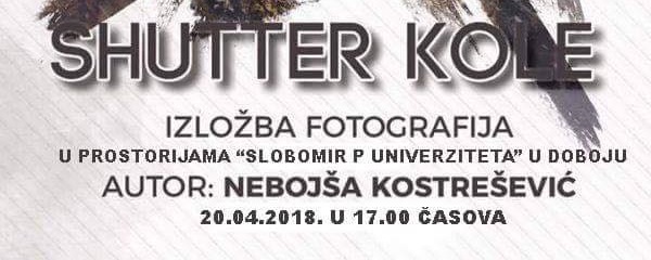 Plakat - izlozba N. Kostresevicafgh